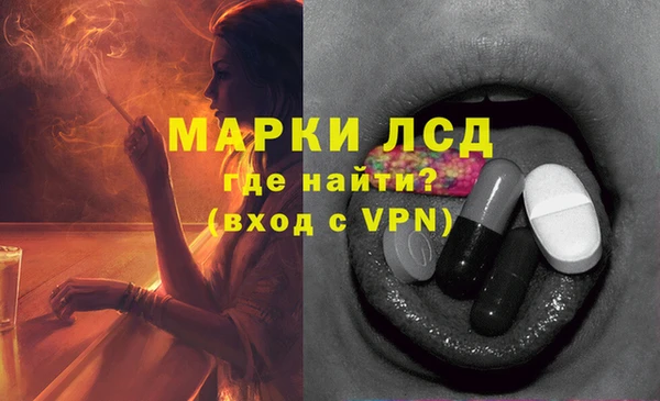 ПСИЛОЦИБИНОВЫЕ ГРИБЫ Верхнеуральск